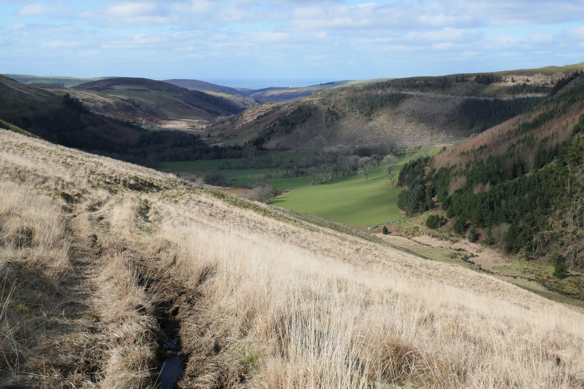 RachelSeabrook.net | Wild Walking | Cwm Cyneiniog and Craig y Pistyll | pic15